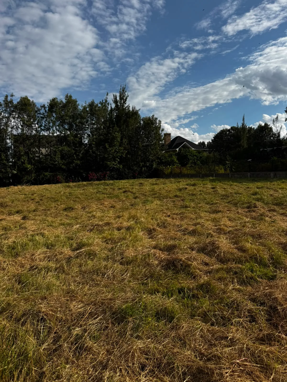 0.5 Acre Land for Sale in Karen Baobab land for sale in Karen photo 5