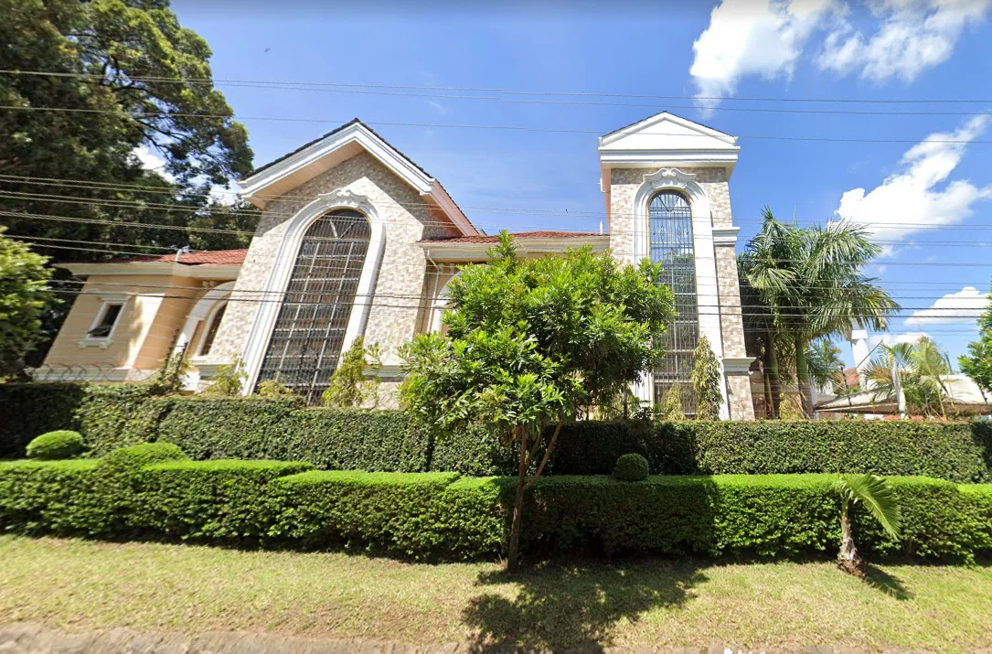 Bogani Palms thumbnail 2