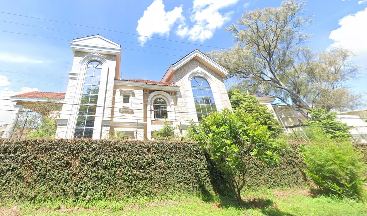 Bogani Palms thumbnail 3