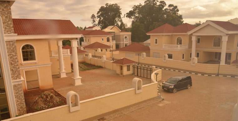 Bogani Palms thumbnail 6