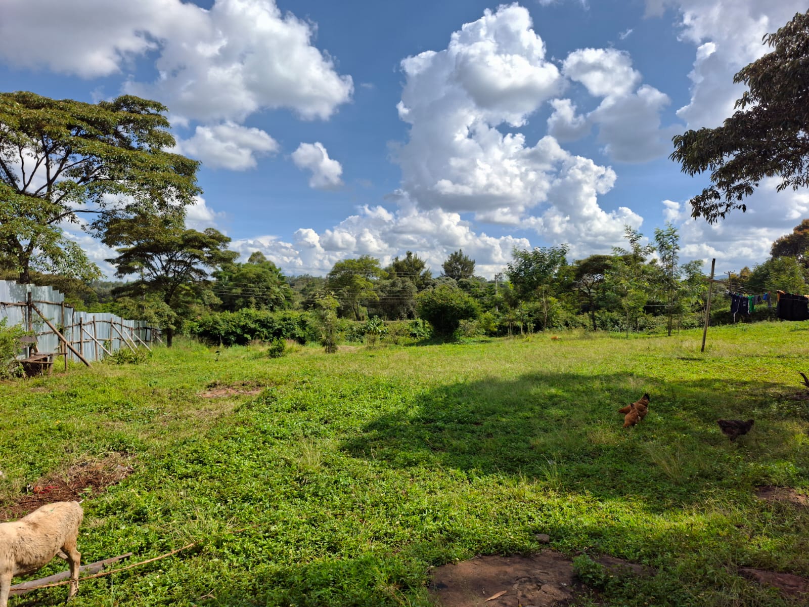 1 Acre Land - LAND in Karen photo