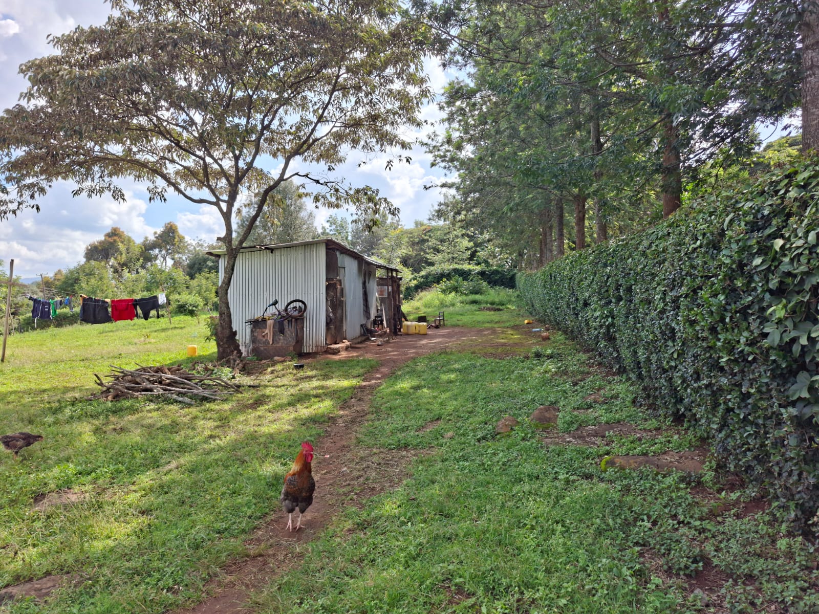 1 Acre Land for Sale in Karen land for sale in Karen photo 2