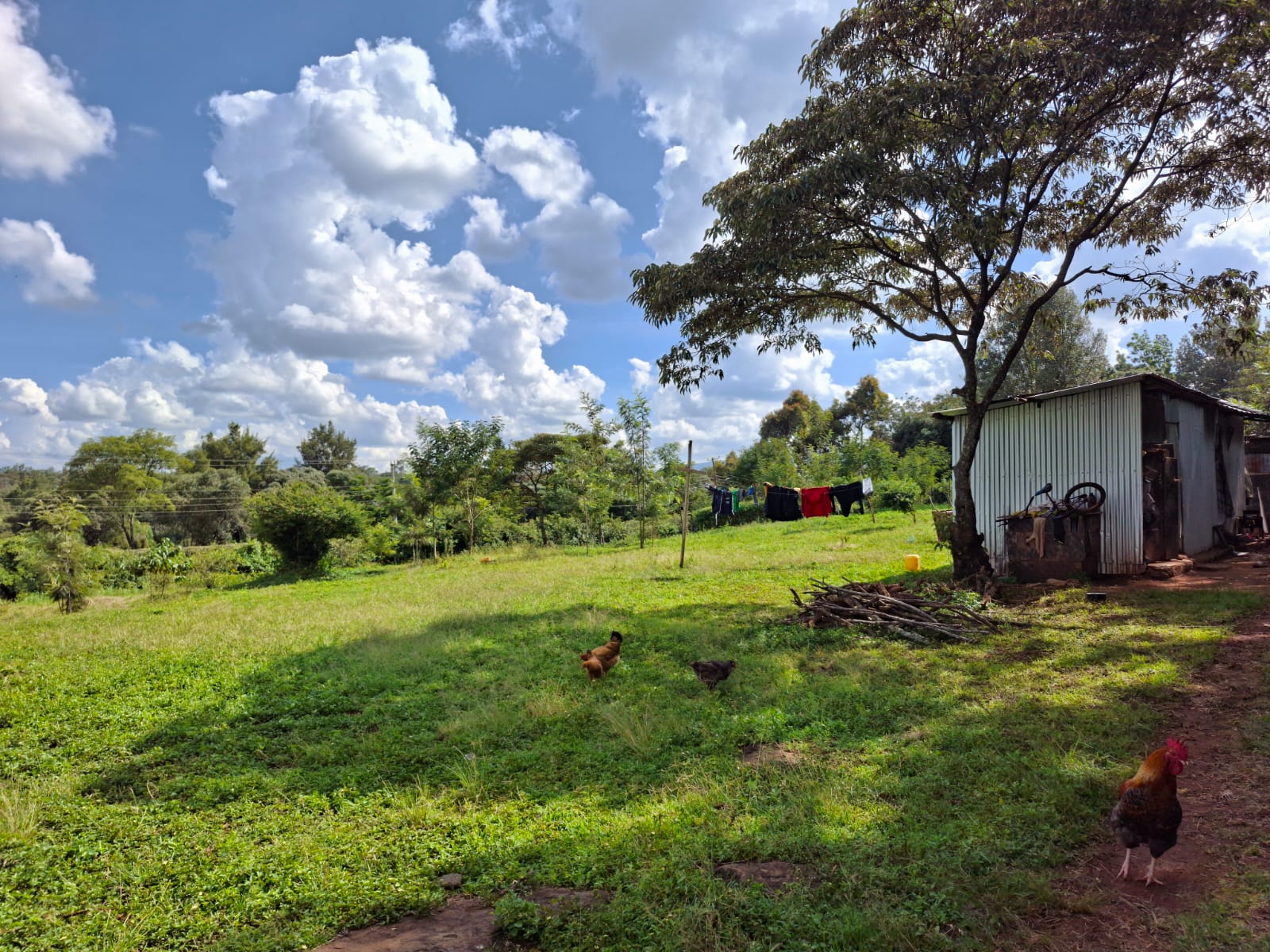 1 Acre Land for Sale in Karen land for sale in Karen photo 3