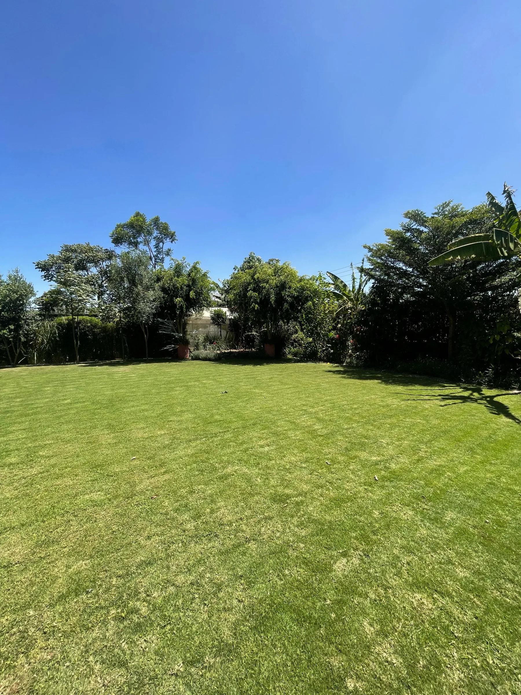 5 Bedroom House for Sale in Karen thumbnail 17