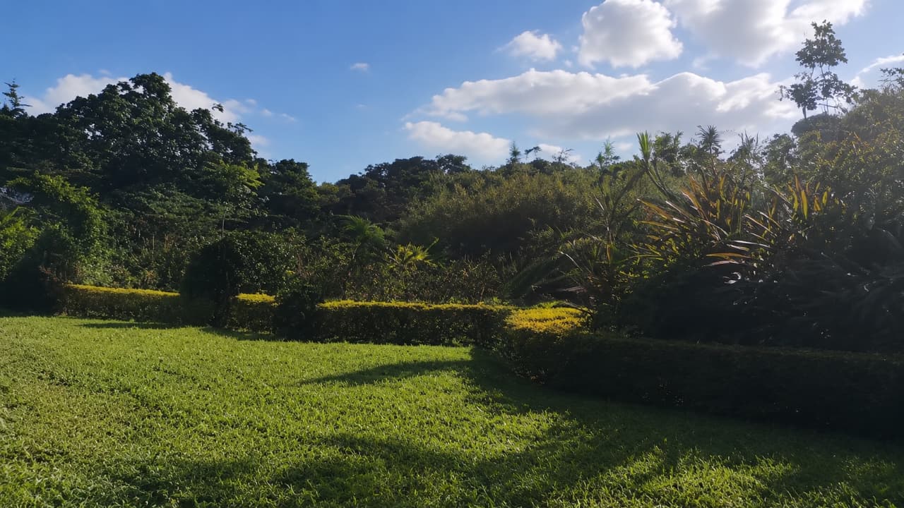 3 Acre Land - LAND in Runda photo