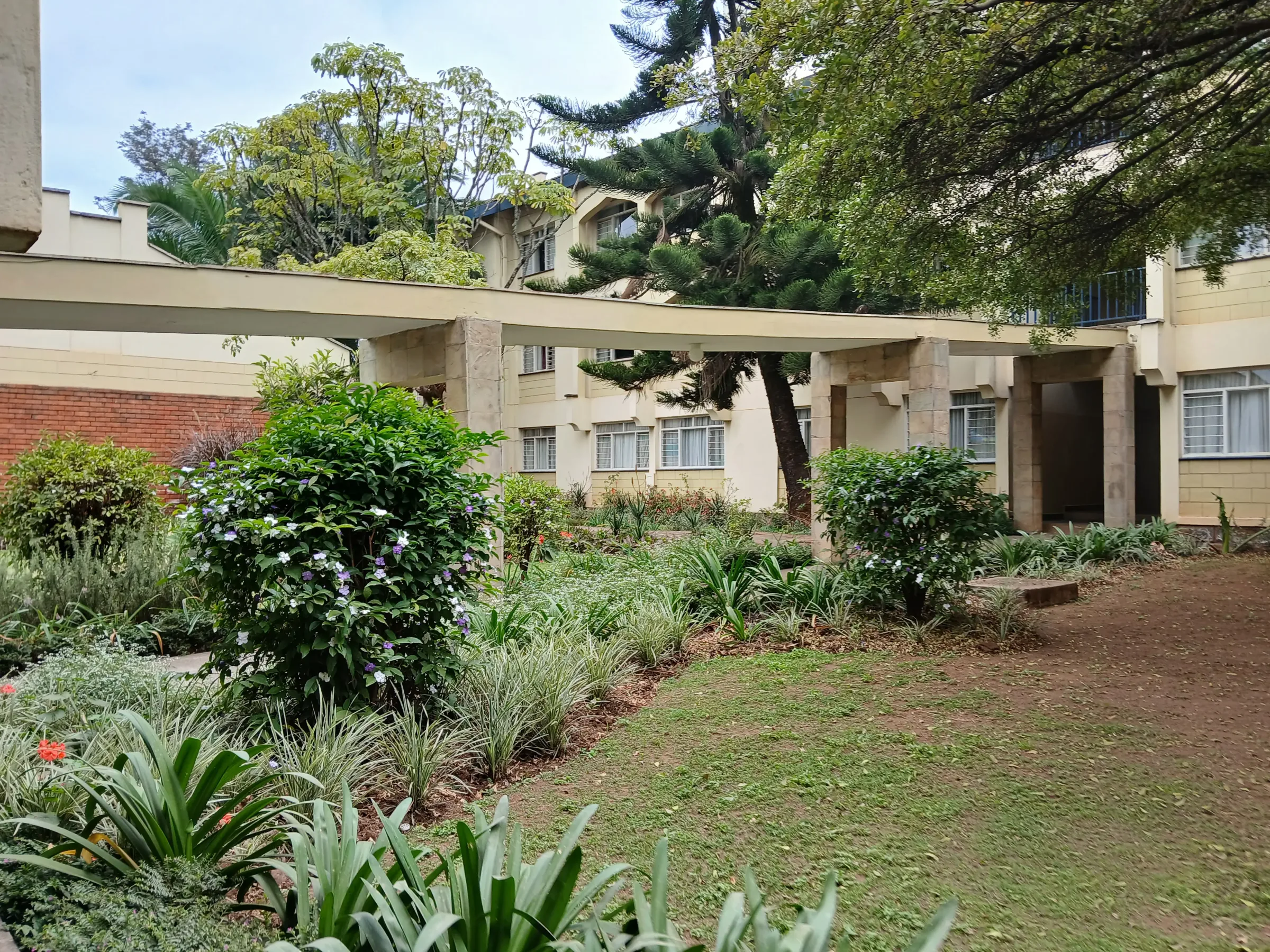 Black Rose Apartments apartment in Kilimani photo 5
