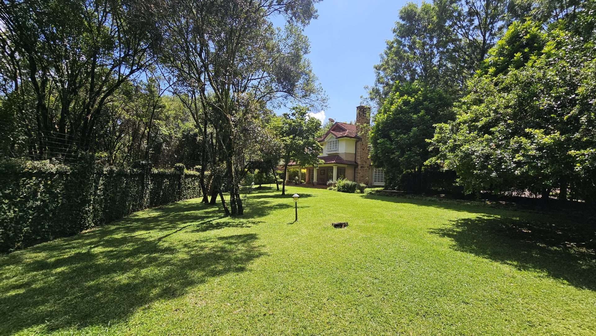 Miotoni Woods thumbnail 2