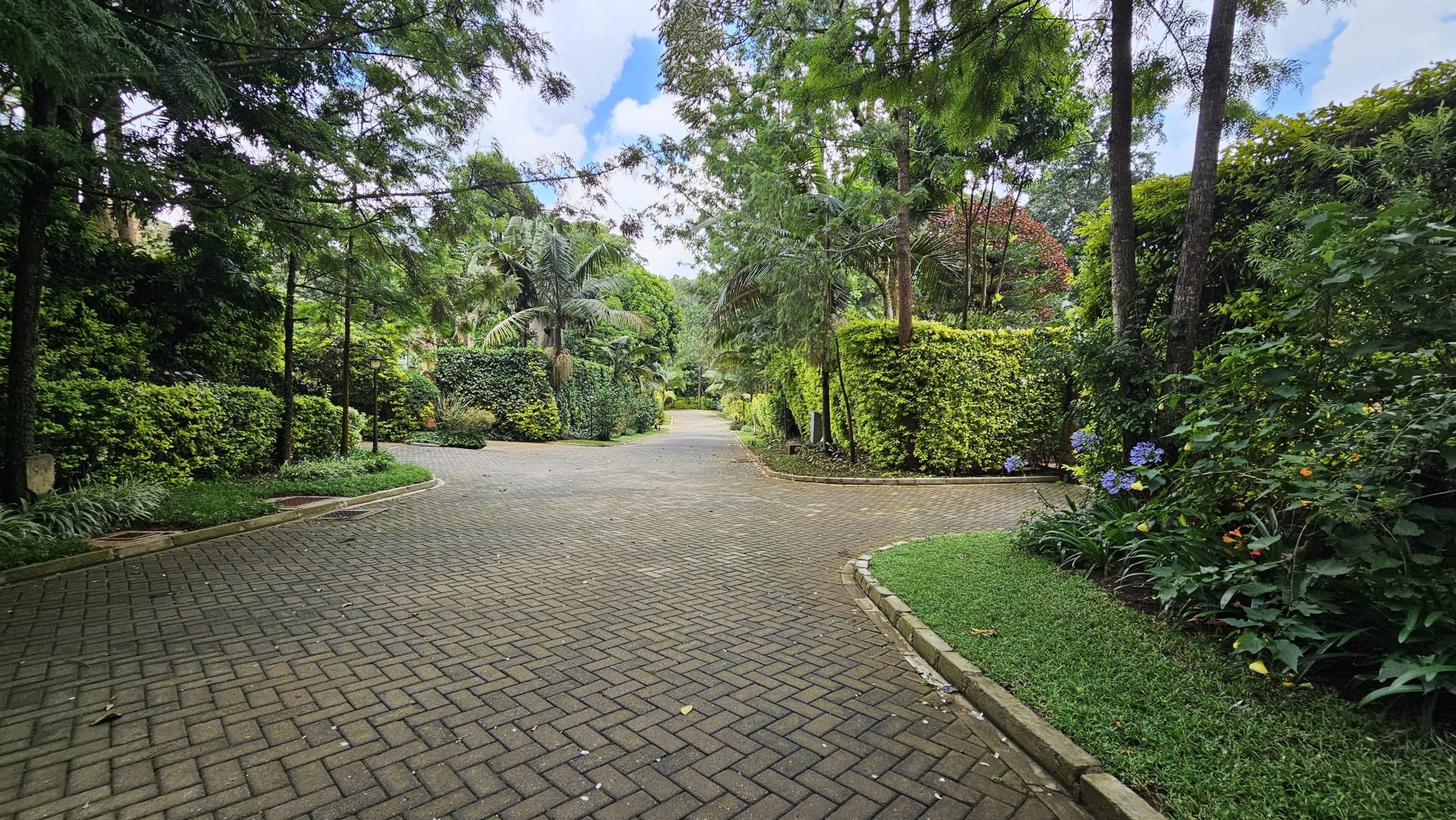 Miotoni Woods thumbnail 4