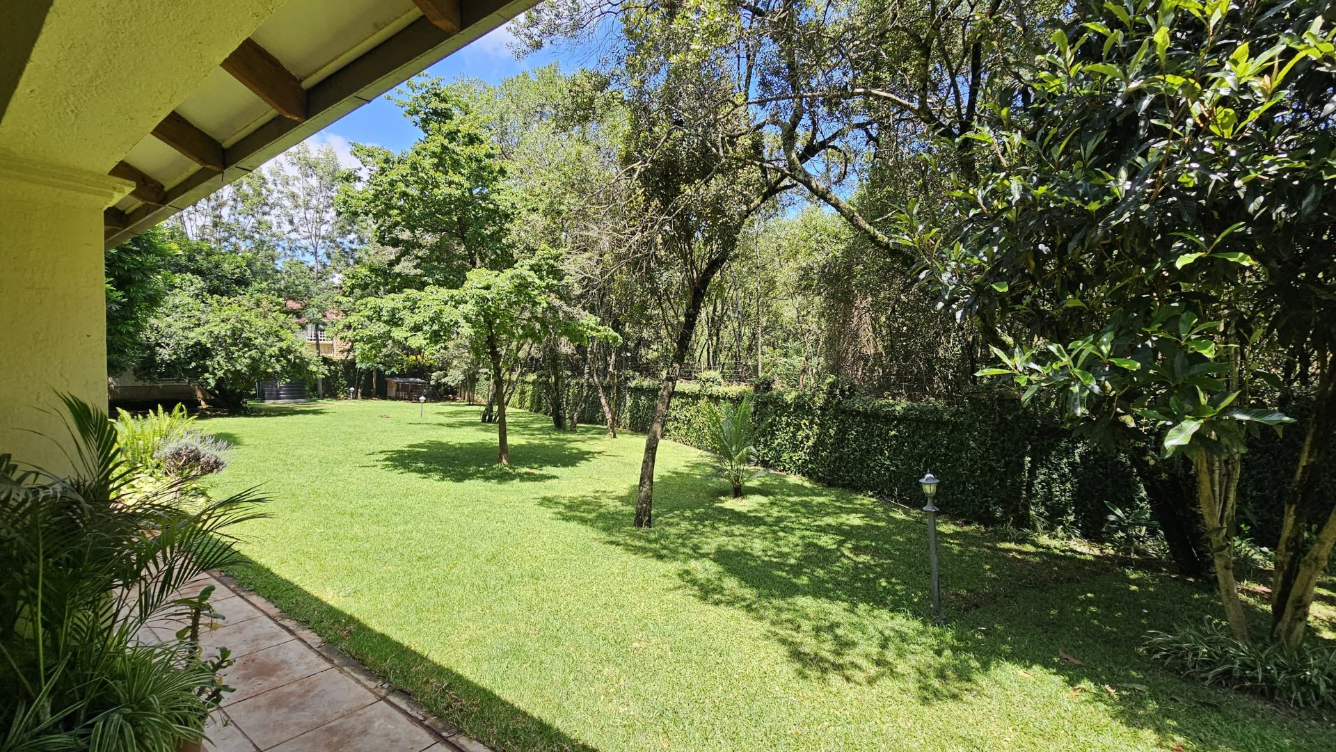 Miotoni Woods thumbnail 3