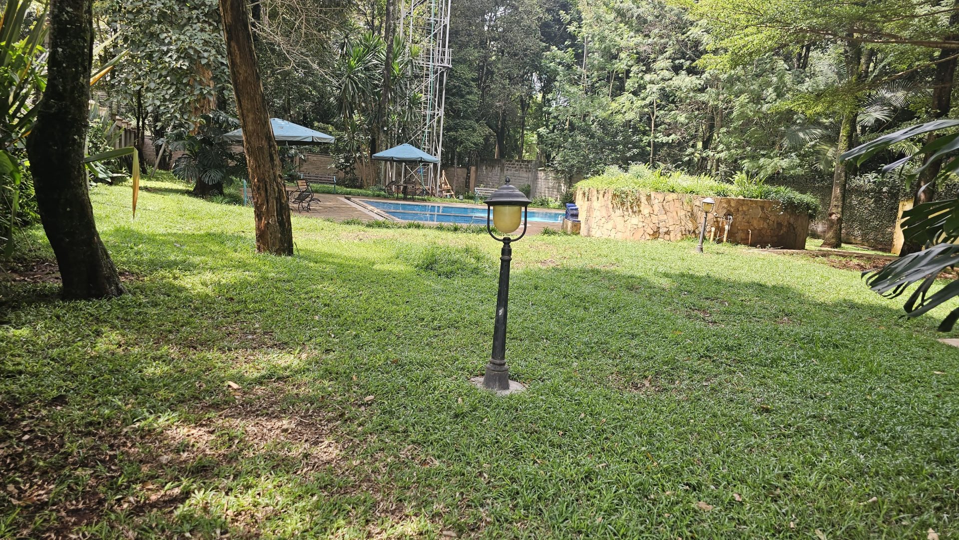 Miotoni Woods thumbnail 6