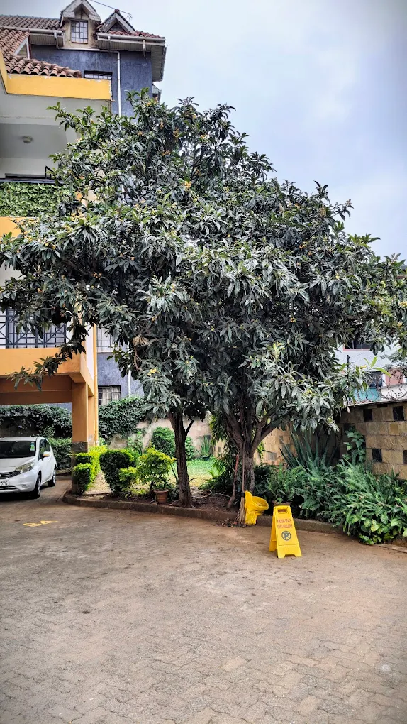 Cornerstone Apartments apartment in Kilimani photo 3