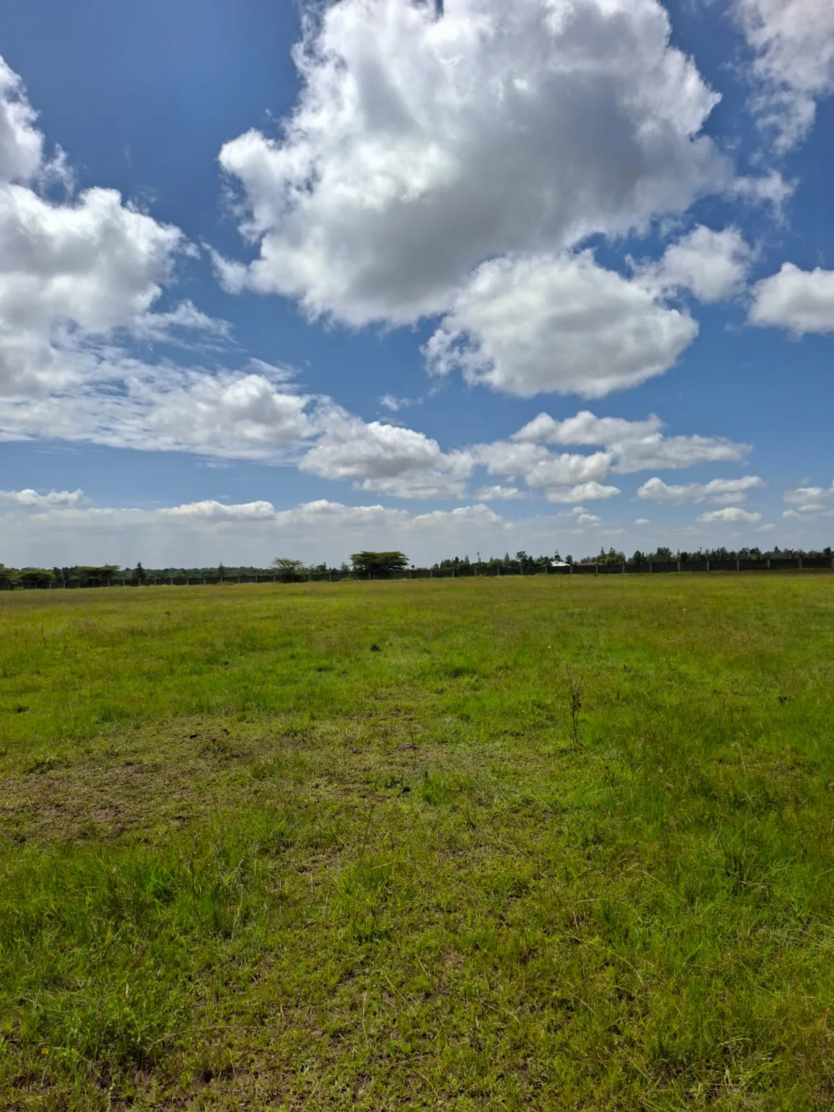 1 Acre Land for Rent in Karen land for rent in Karen photo 4
