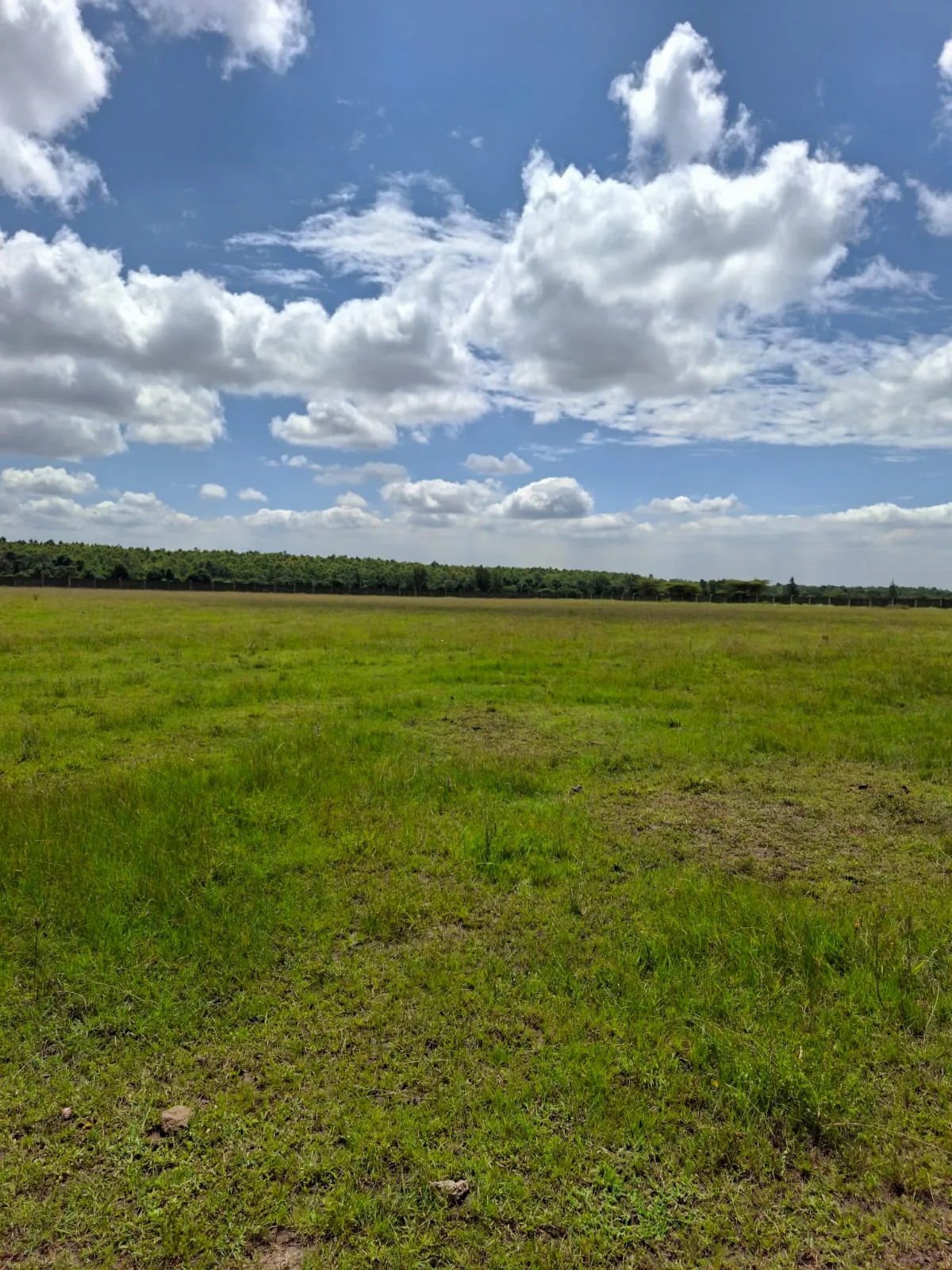 1 Acre Land for Rent in Karen land for rent in Karen photo 5