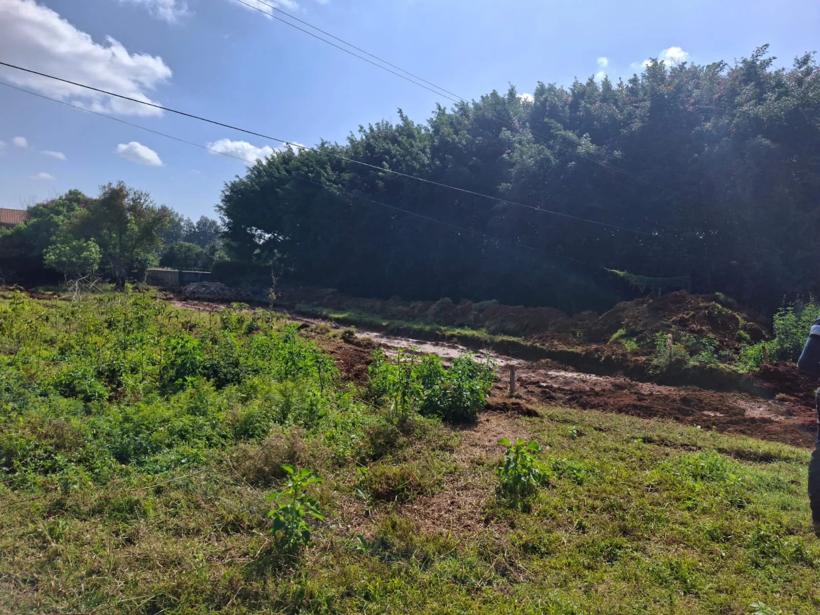 Half Acre Land for Sale in Karen land for sale in Karen photo 2