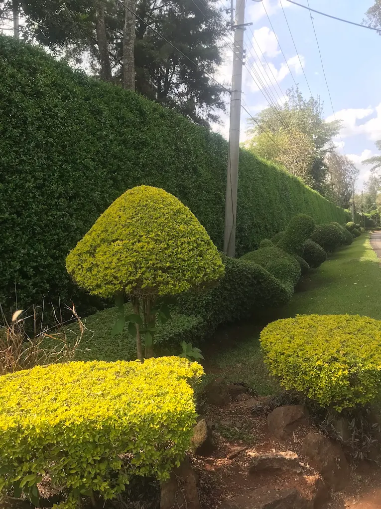 1 Acre Land for Sale in Karen jjuo thumbnail 3