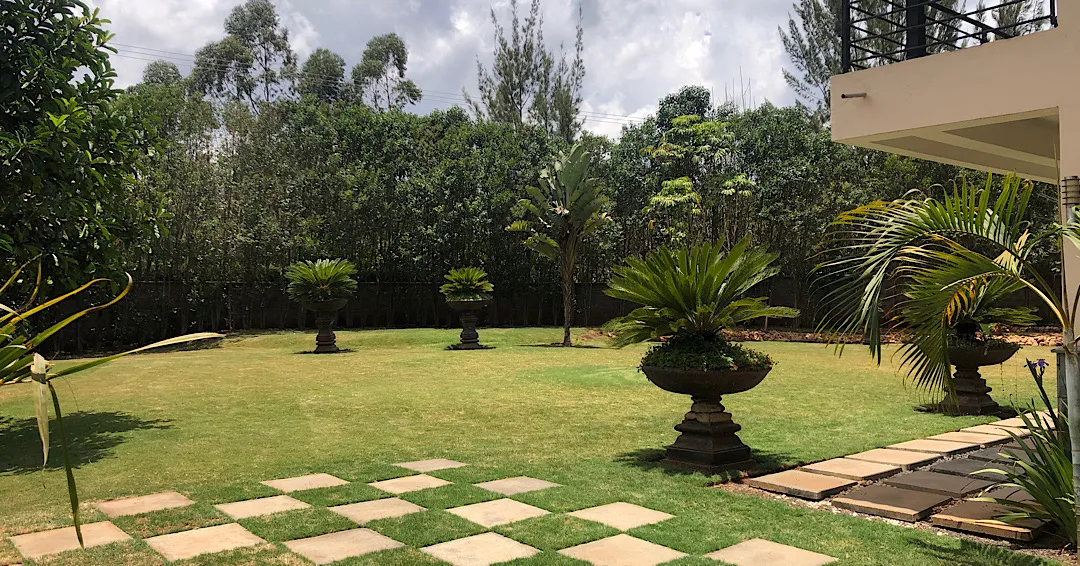 Tipuana Gardens thumbnail 5