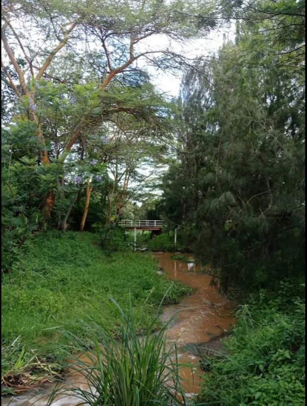 Hillcrest Close Estate thumbnail 2