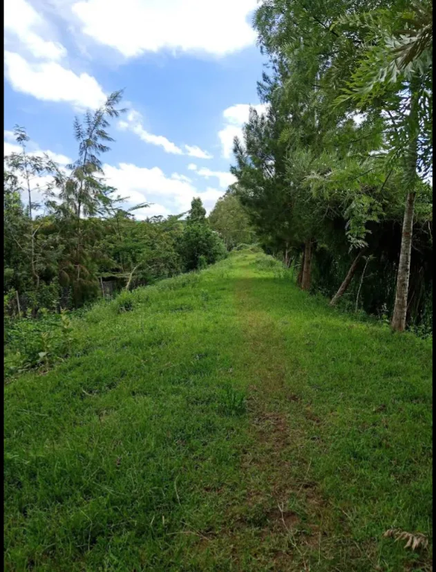 Hillcrest Close Estate thumbnail 3