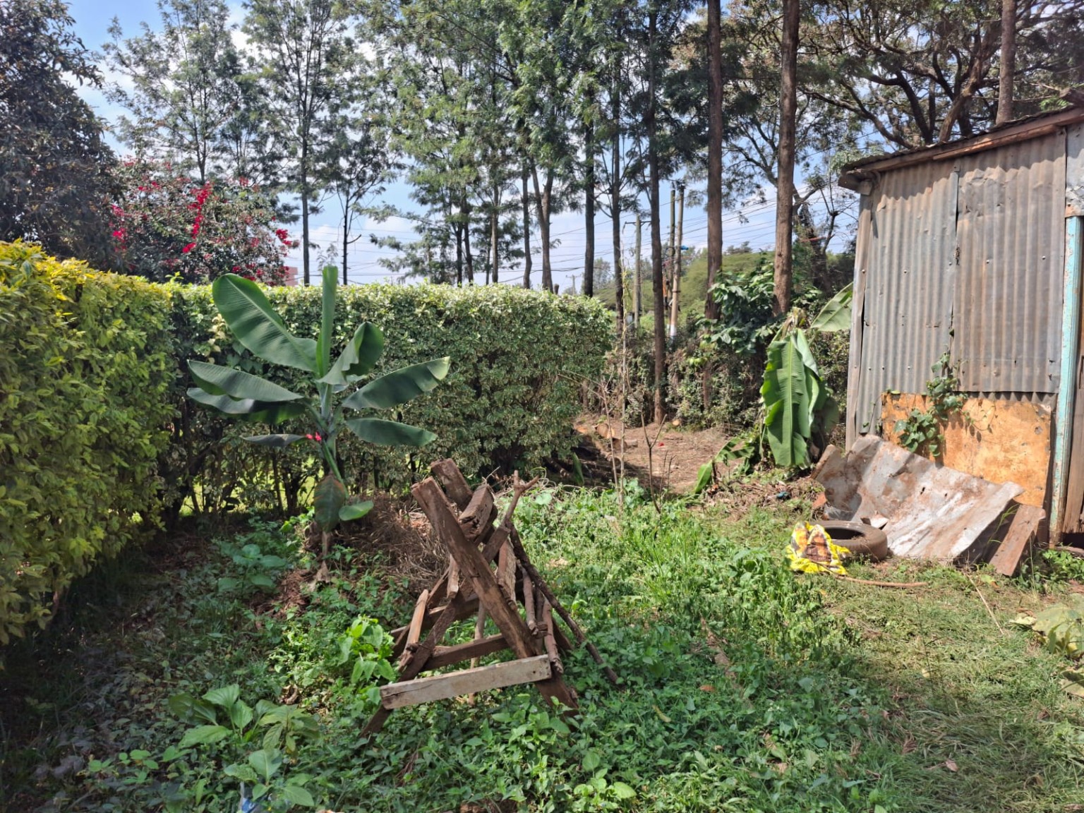 Karinde — Half-Acre Plot for Sale near Dagoretti Road commercial for sale in Kikuyu photo 5