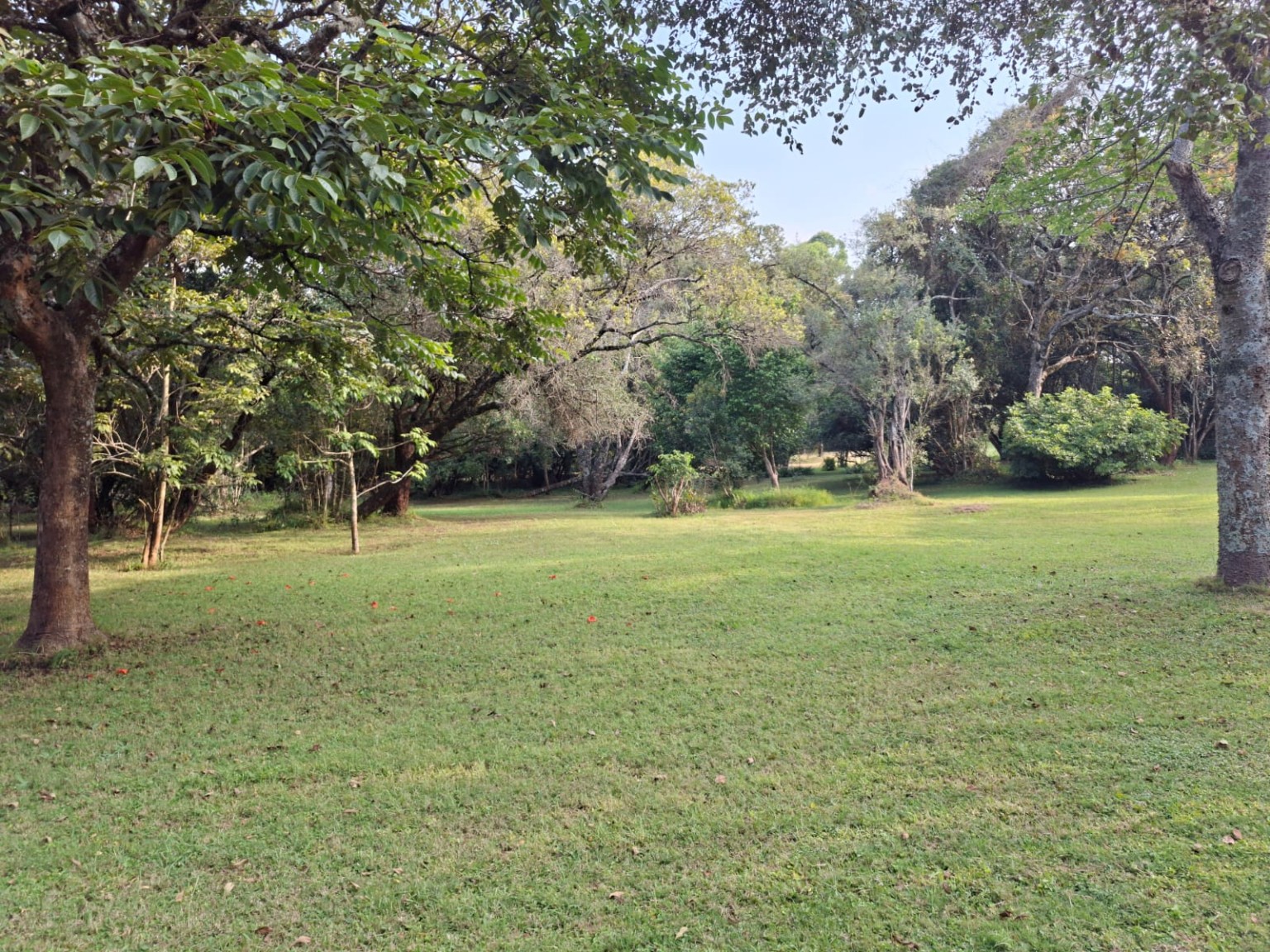 Koitobos Road — Half Acre Plot, Hardy - Land in Karen photo