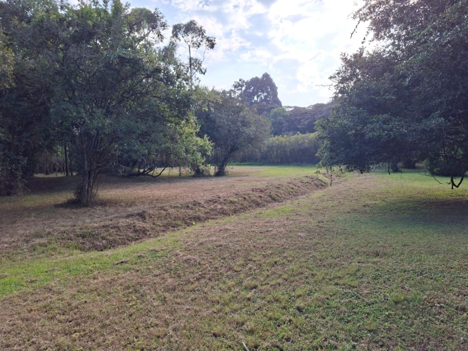 Koitobos Road — Half-Acre Plot for Sale, Karen Hardy land for sale in Karen photo 3