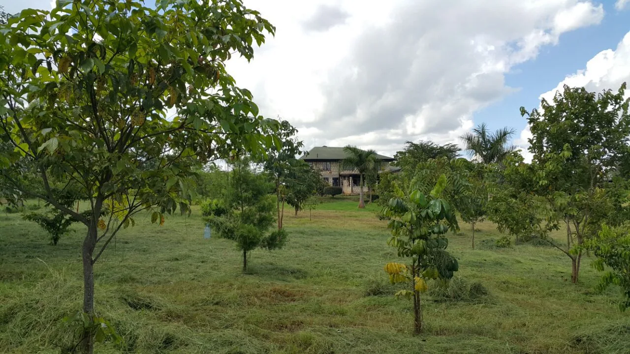 4 Bedroom House for Sale in Karamaini Estate house for sale in Karamaini Estate photo 2
