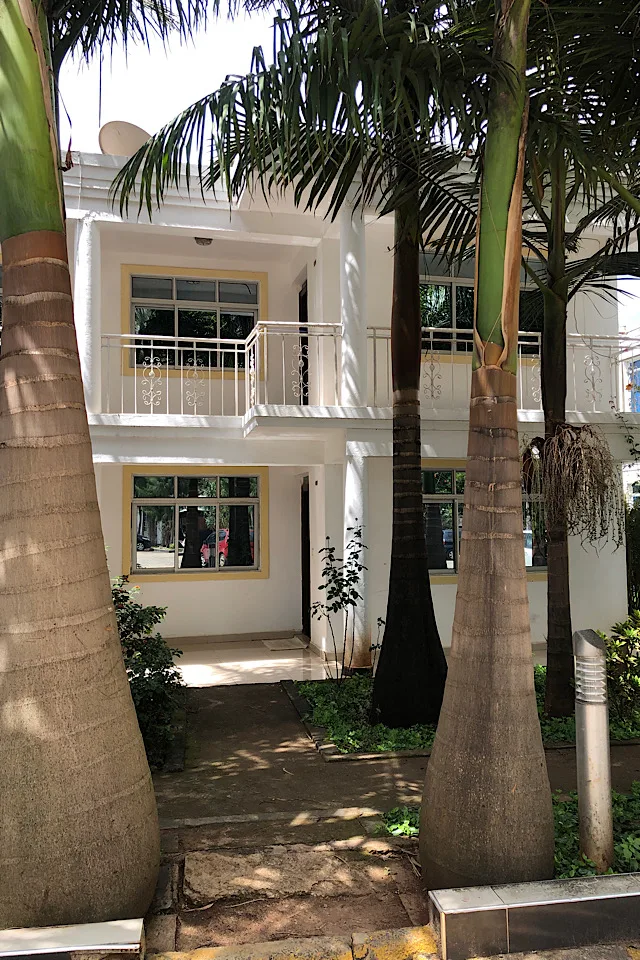 Green Palms thumbnail 5