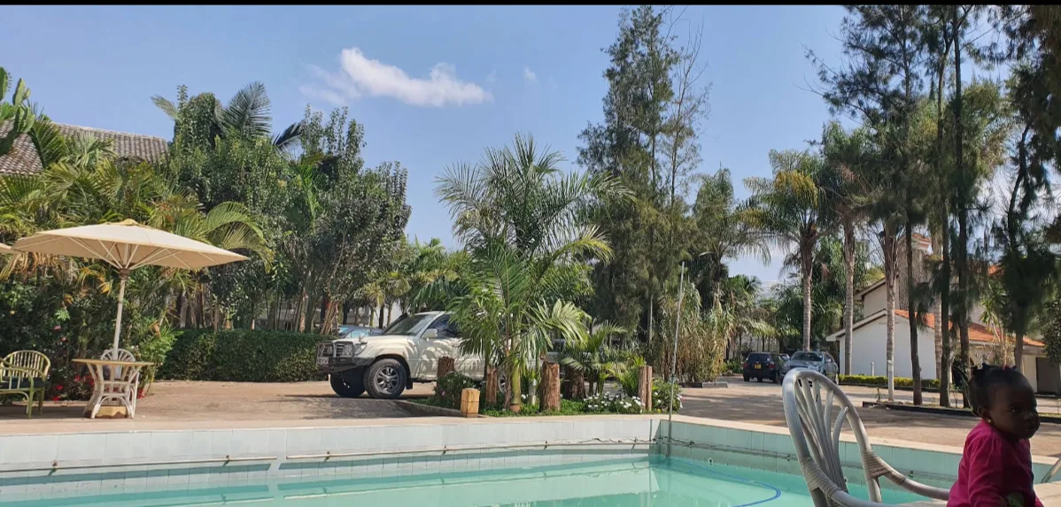 Green Palms thumbnail 6