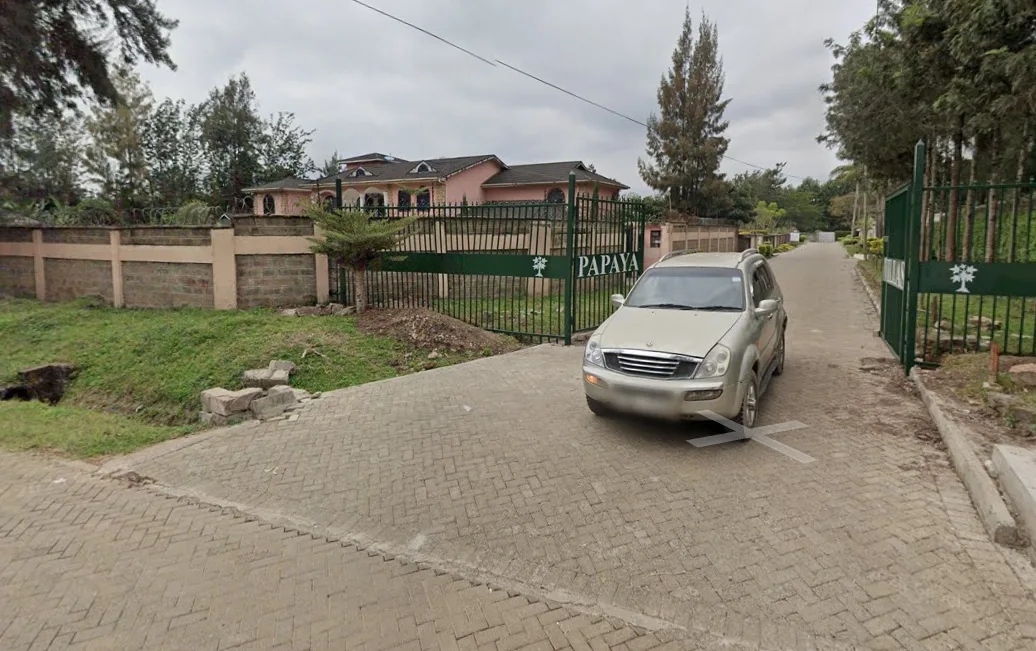 Papaya Villas - House in Karen photo