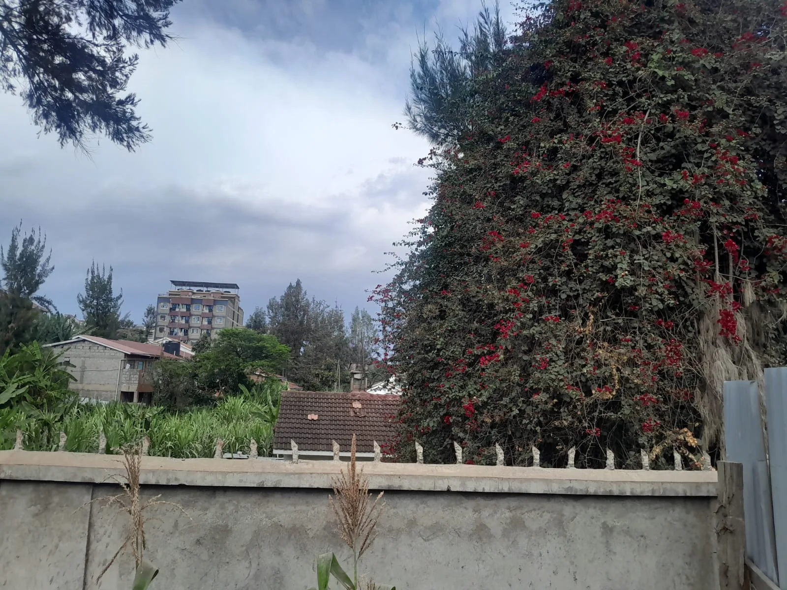 1/4 Acre Land for Sale in Ongata Rongai land for sale in Rongai photo 5
