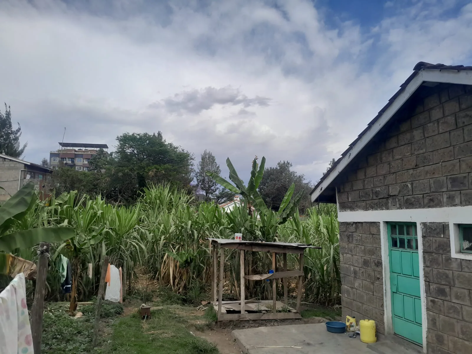 1/4 Acre Land - LAND in Rongai photo