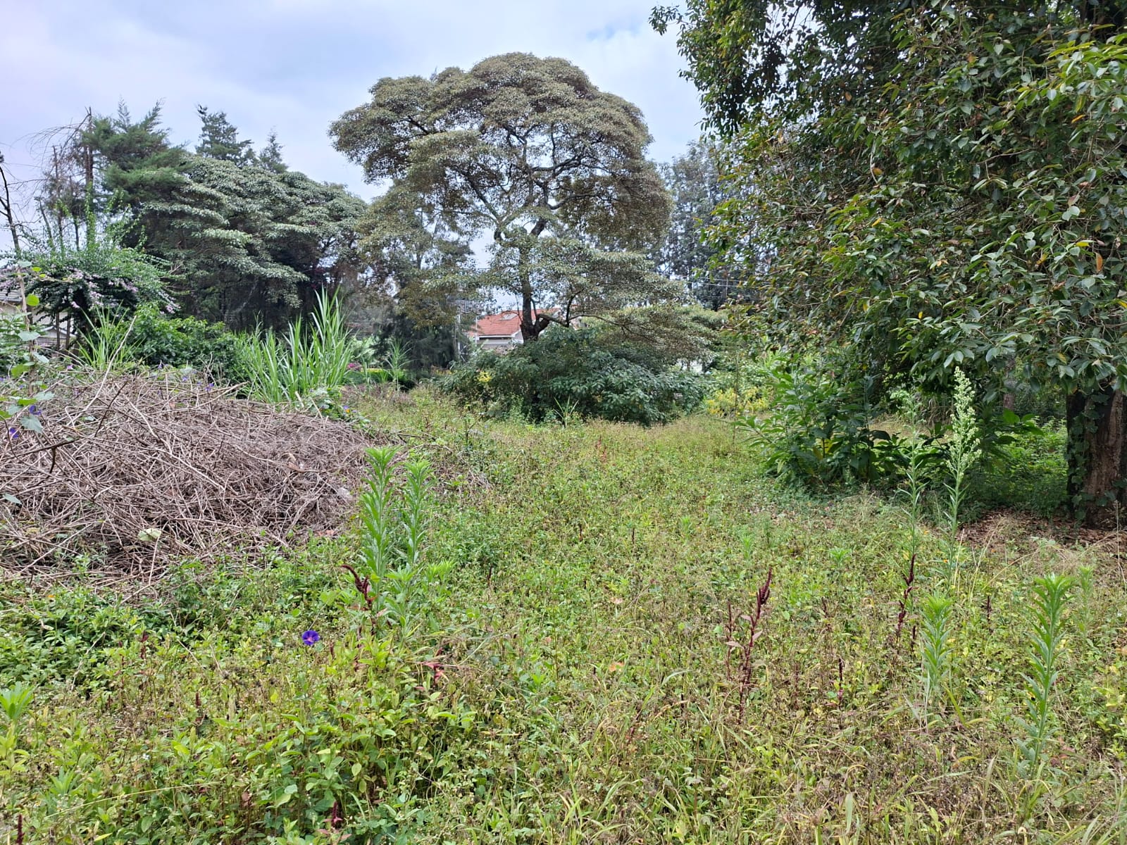 0.5 Acre Land for Sale in Karen lntt thumbnail 2