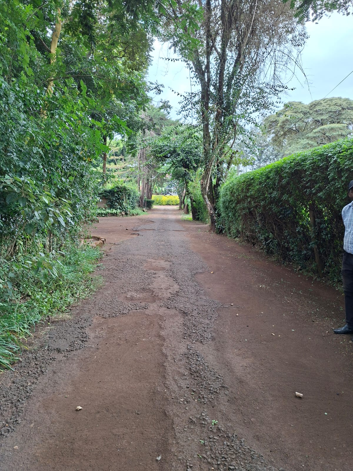 0.5 Acre Land for Sale in Karen lntt thumbnail 4