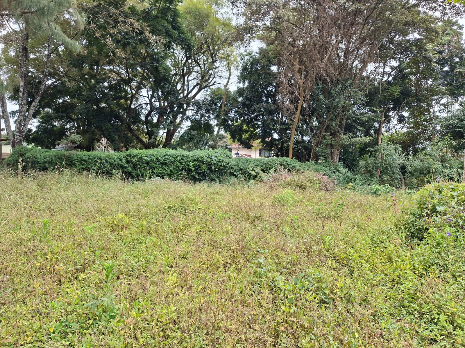 0.5 Acre Land for Sale in Karen lntt thumbnail 5