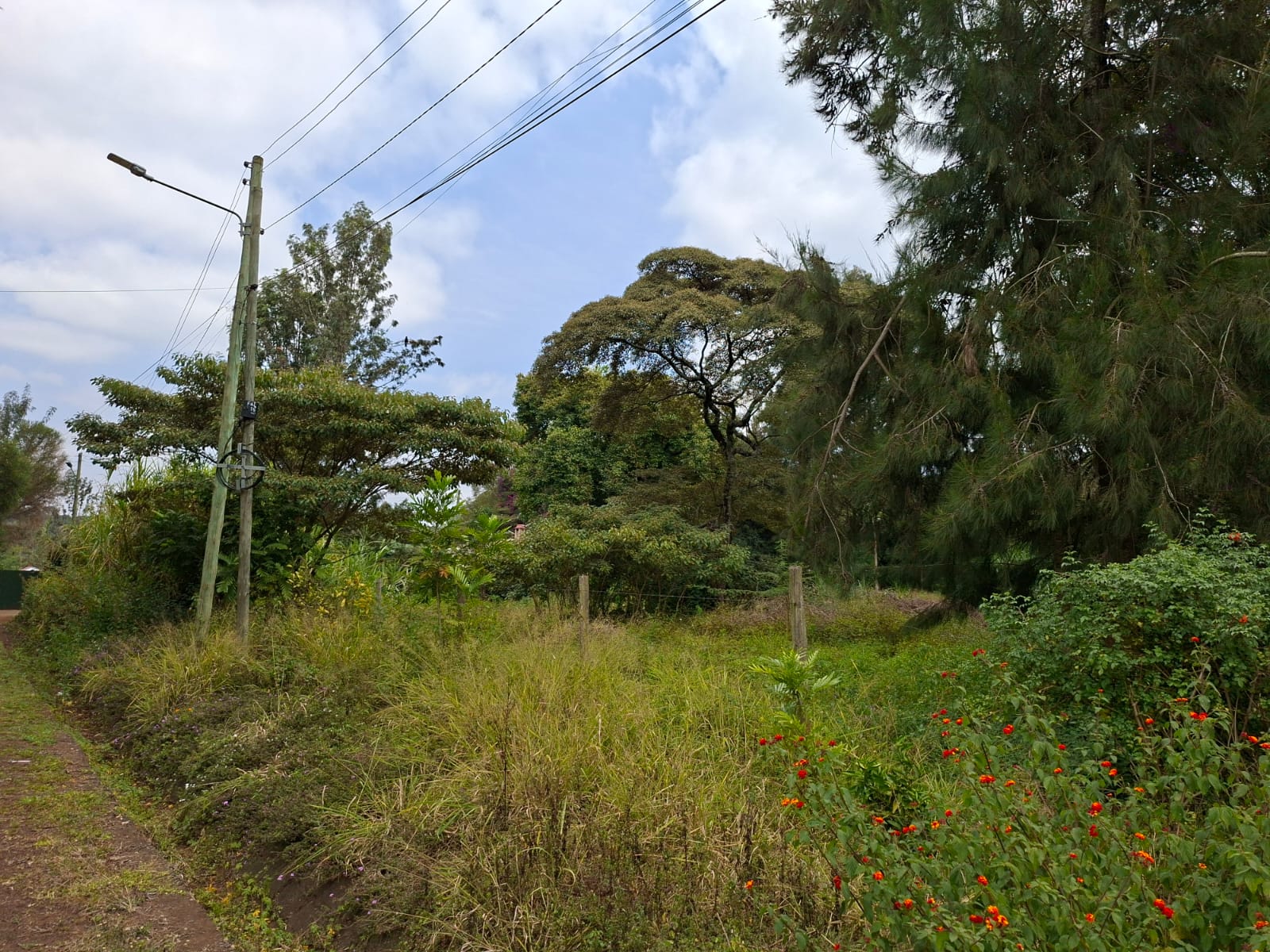 0.5 Acre Land for Sale in Karen lntt thumbnail 7
