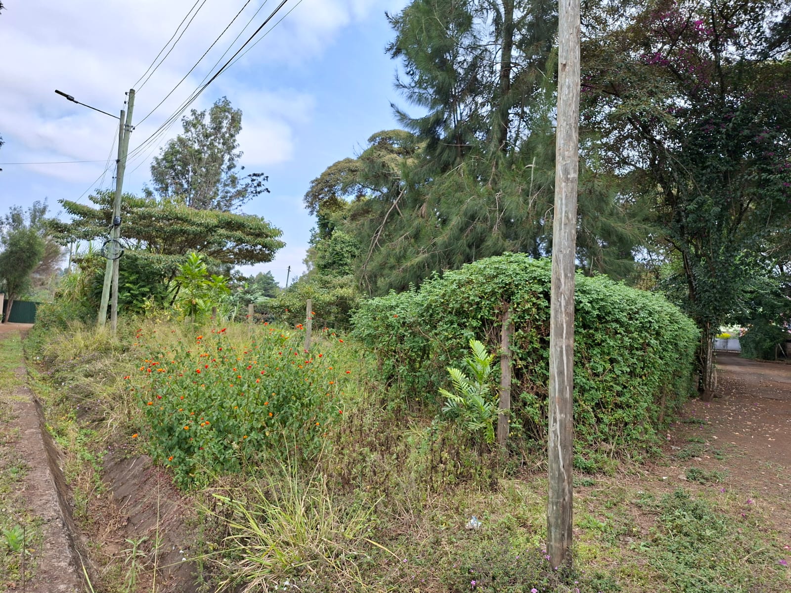 0.5 Acre Land for Sale in Karen lntt thumbnail 9