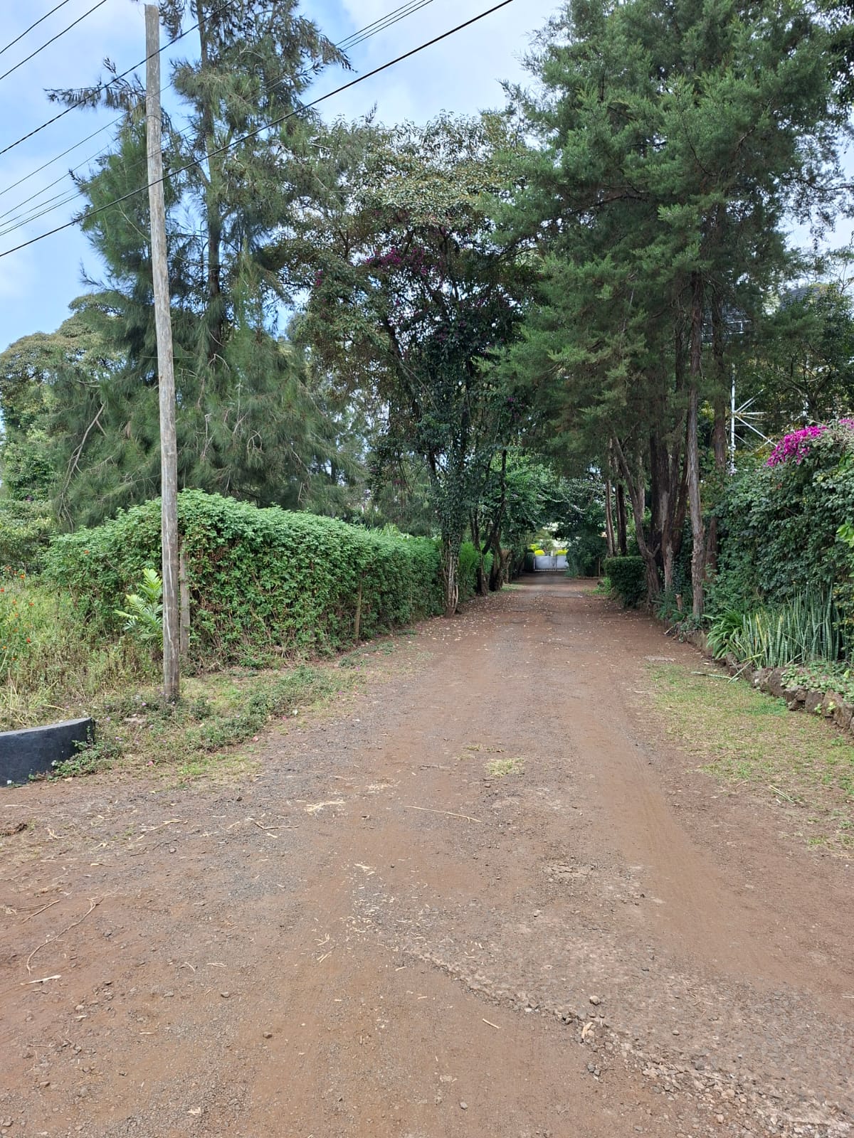 0.5 Acre Land for Sale in Karen lntt thumbnail 15