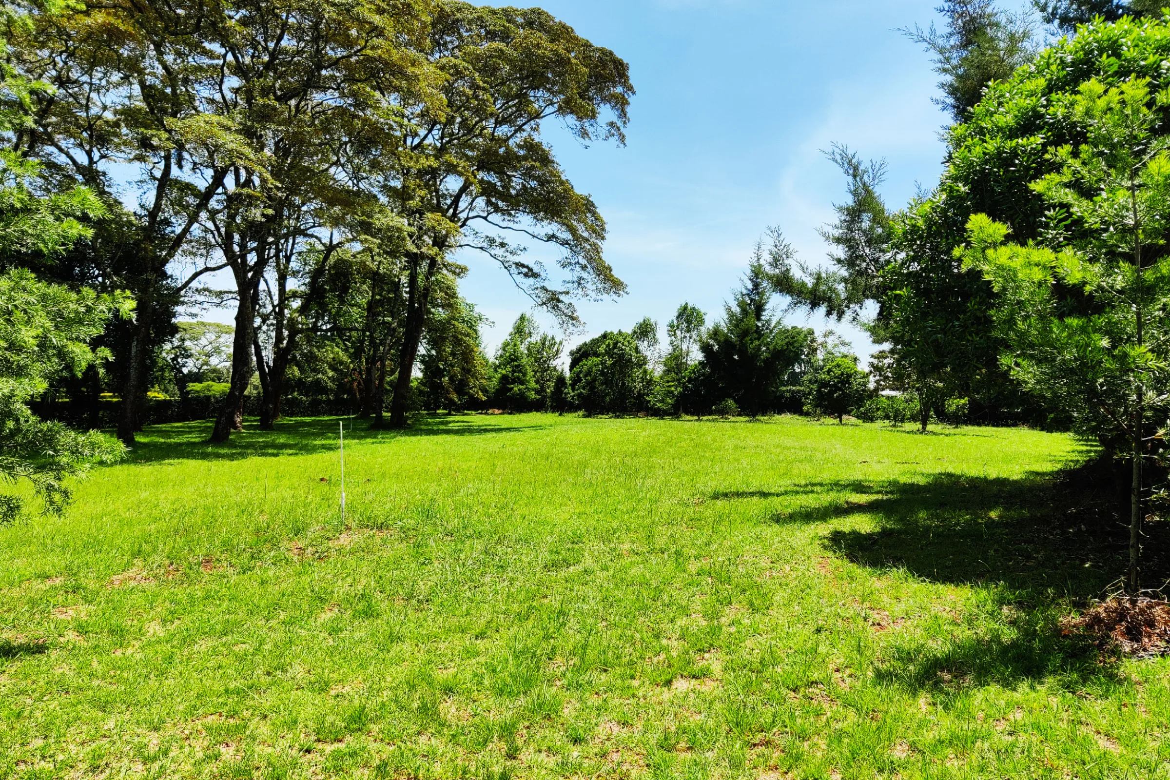 1 Acre Land for Sale in Karen zpaq thumbnail 11