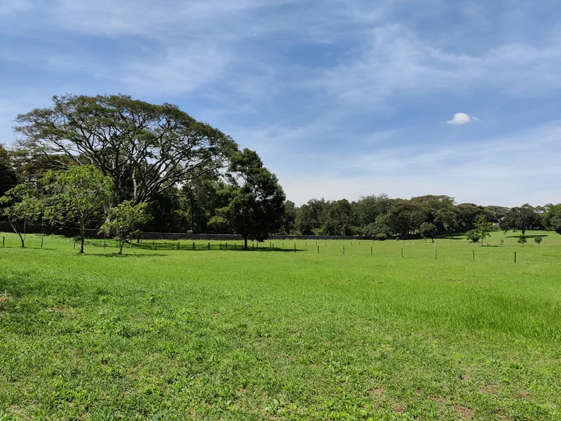 1 Acre Land for Sale in Karen zpaq - Land in Karen photo