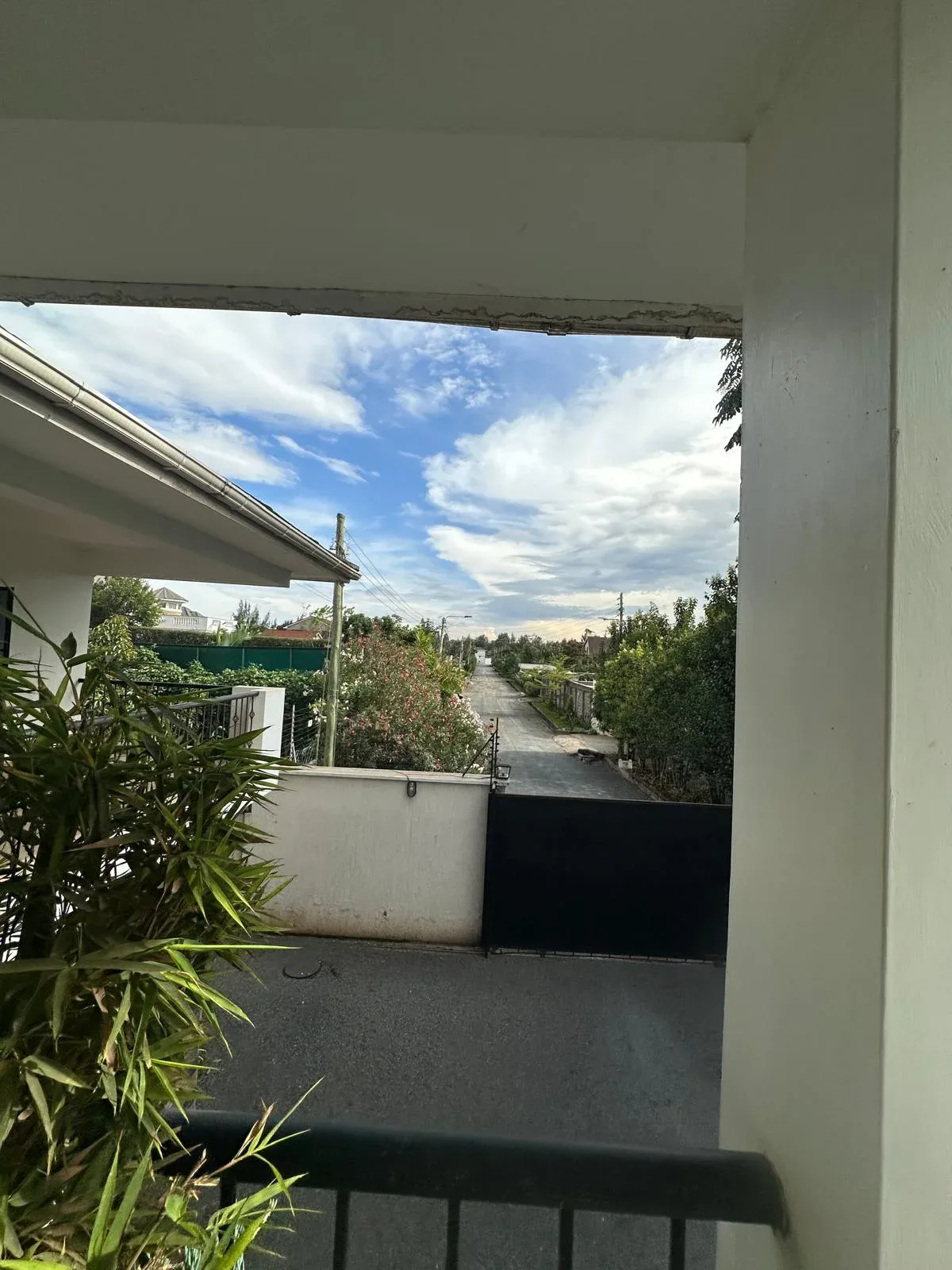 Forest View Estate thumbnail 2