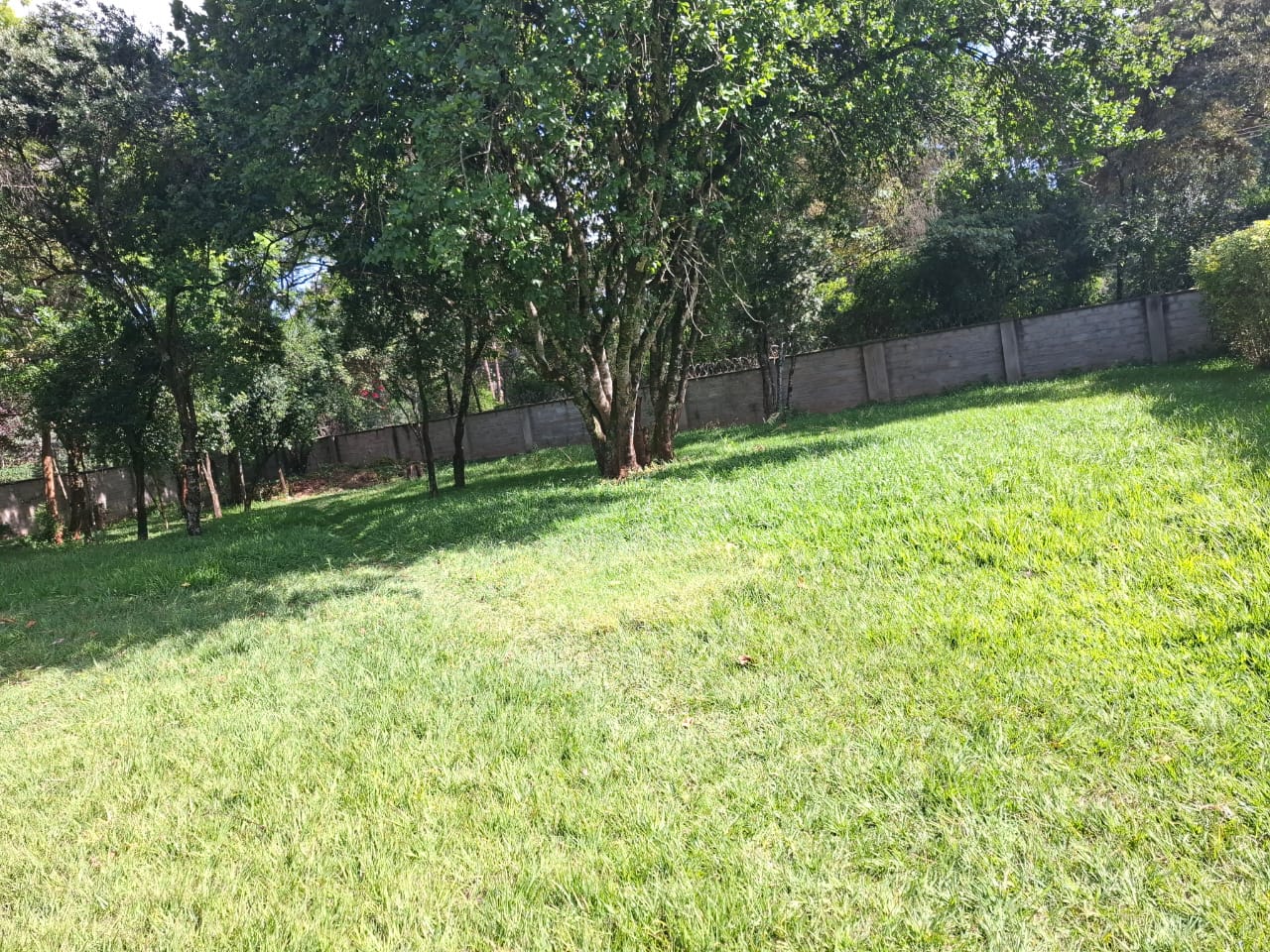 Lions Hut Gardens thumbnail 3