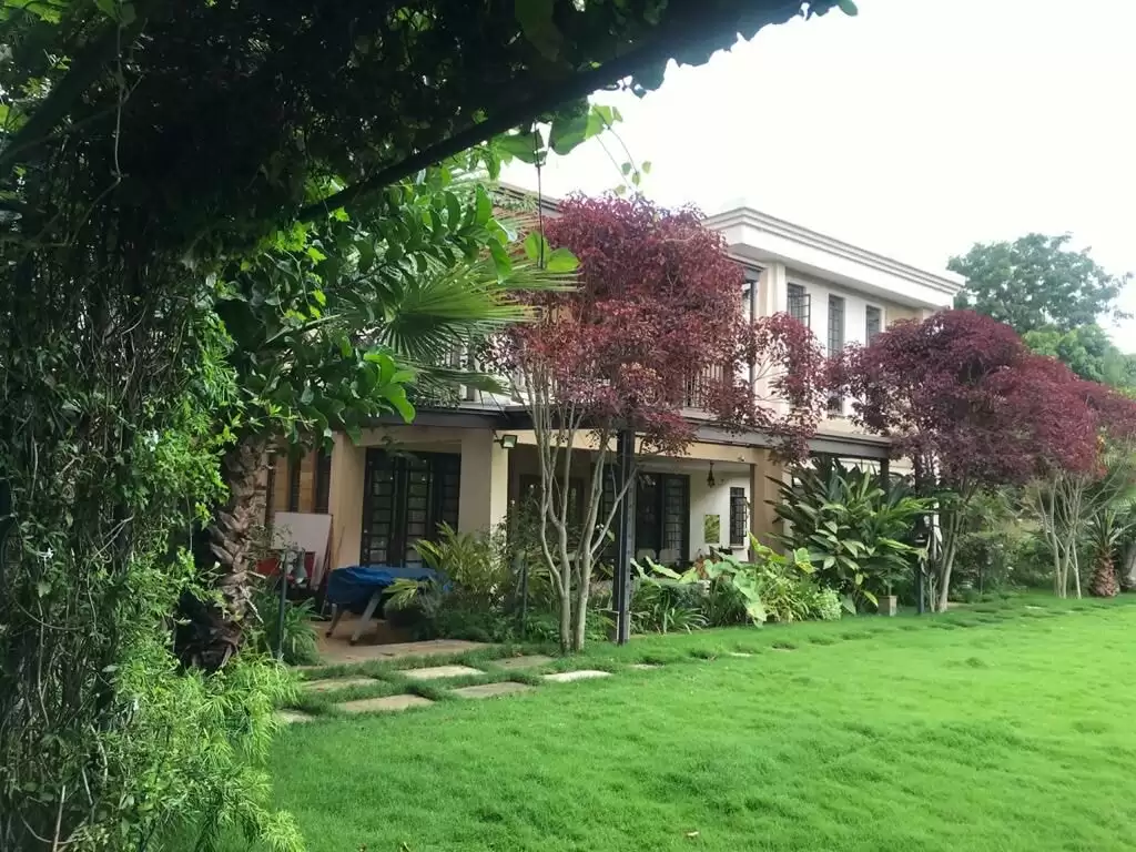 The Estate thumbnail 2