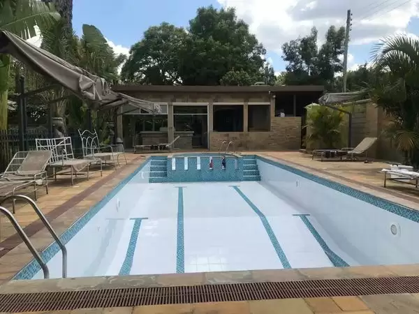 The Estate thumbnail 3