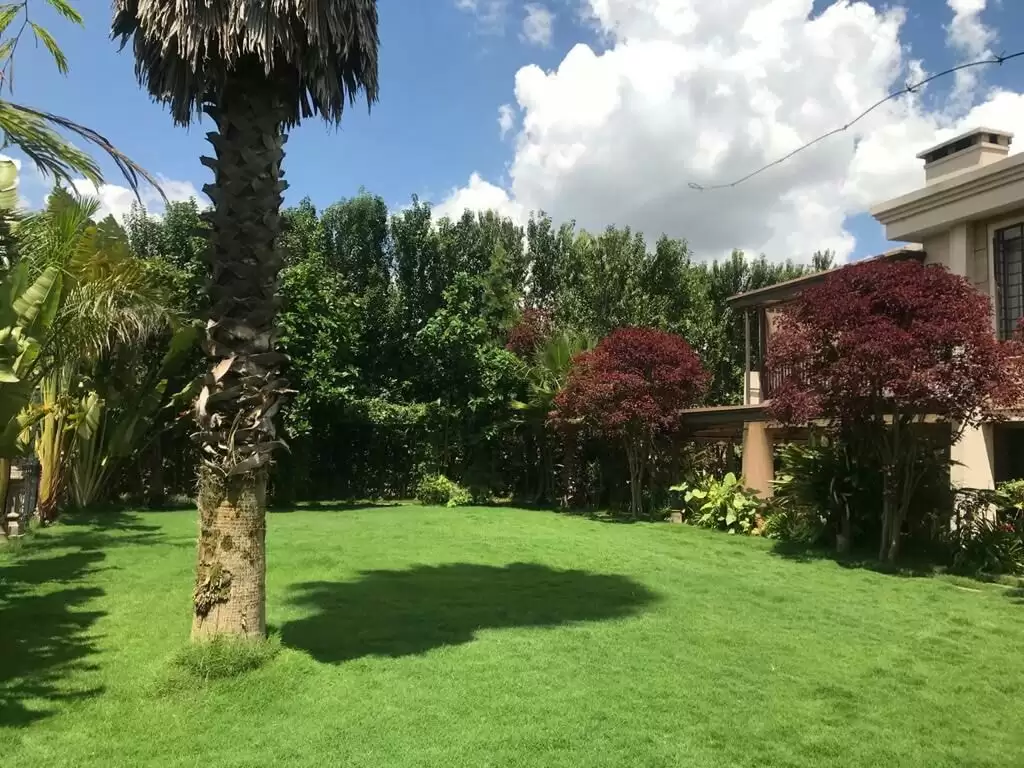 The Estate thumbnail 4