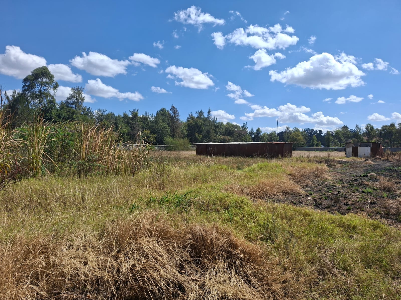 5 Acre Land for Sale in Karen Bogani land for sale in Karen photo 2