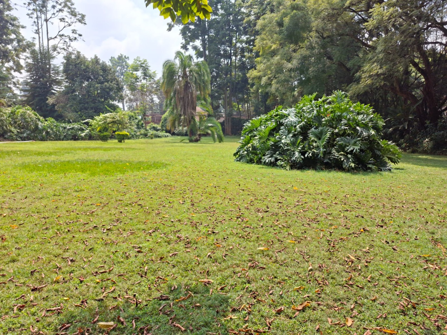 Kirawa Road — 1.25 Acres, Old - Land in Kitisuru photo