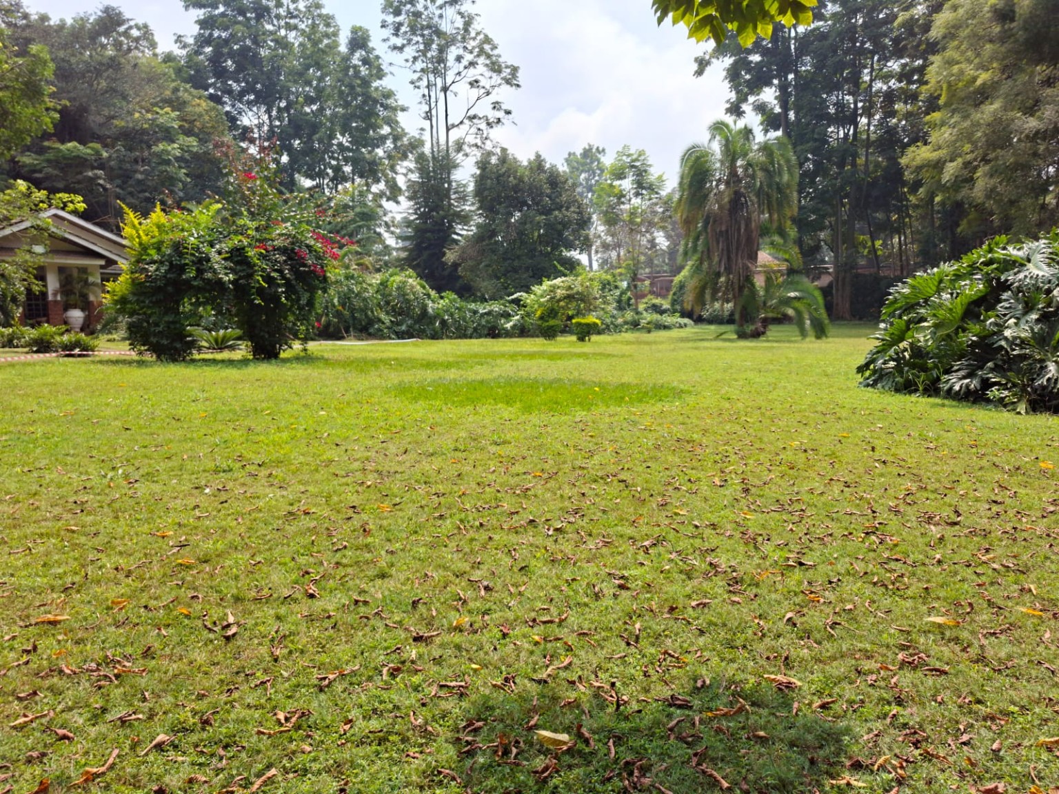Kirawa Road — 1.25 Acres for Sale, Old Kitisuru land for sale in Kitisuru photo 2