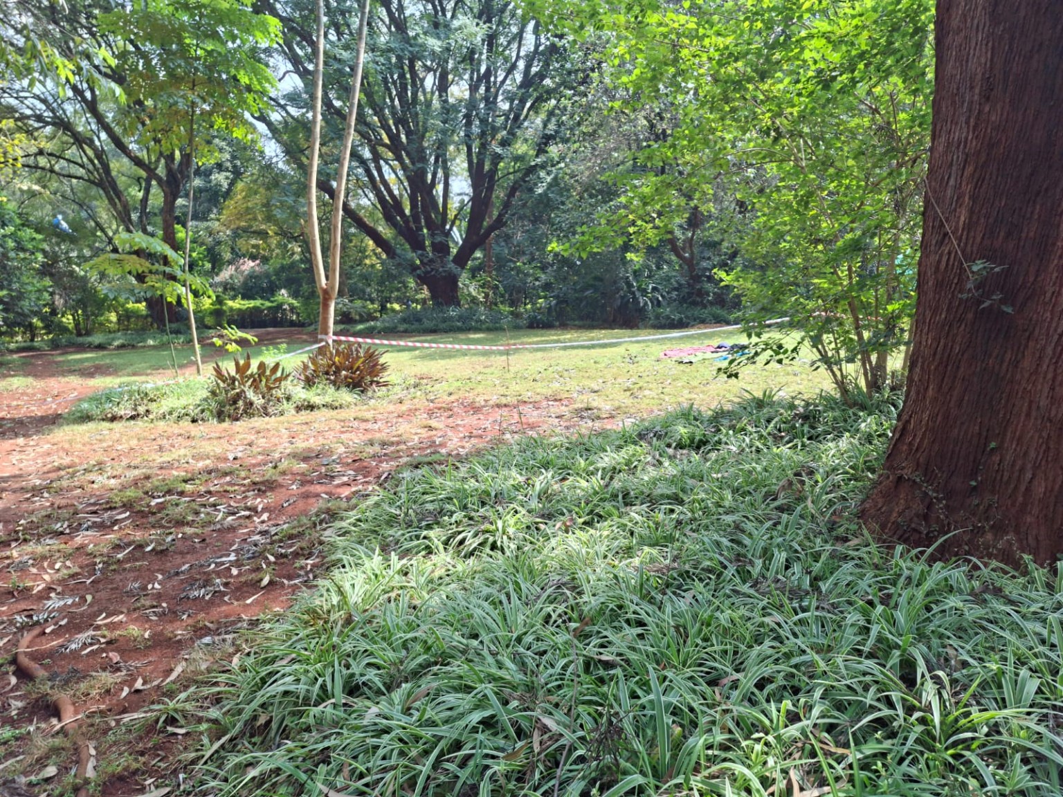 Kirawa Road — 1.25 Acres for Sale, Old Kitisuru land for sale in Kitisuru photo 3