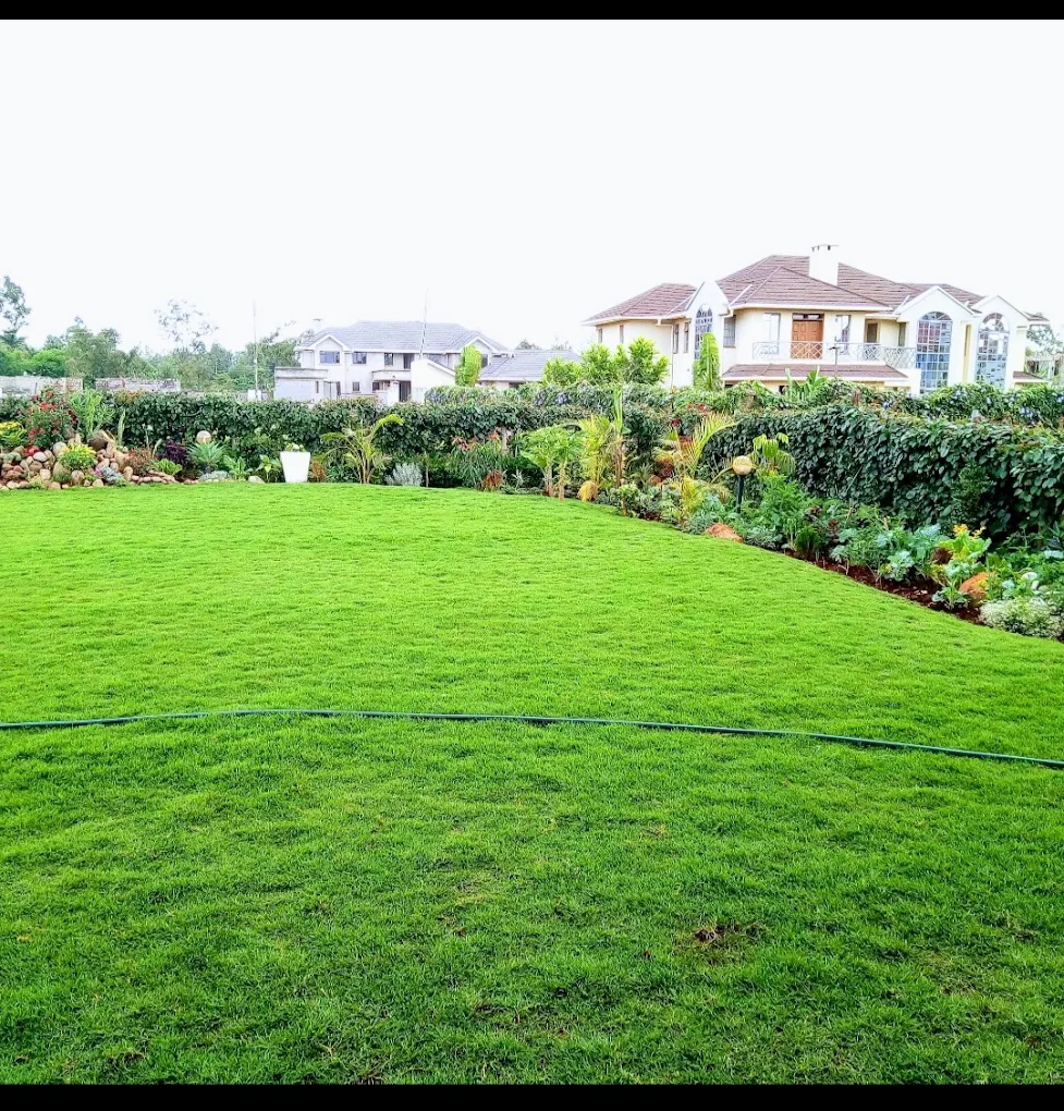 The Baobab Karen thumbnail 2