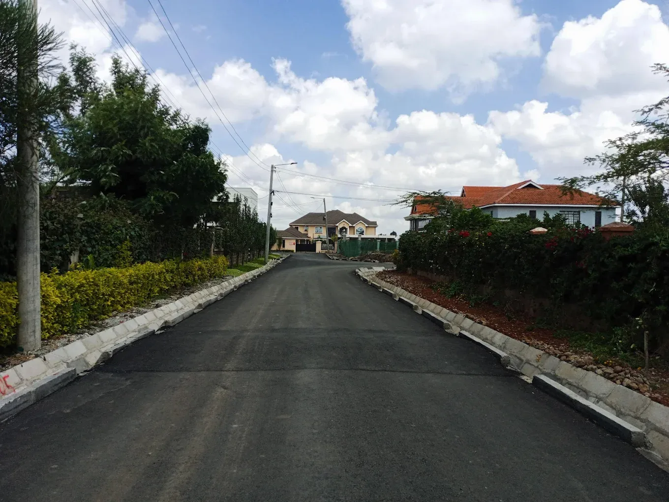 The Baobab Karen thumbnail 4